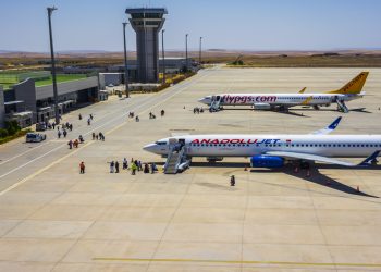 Tanal: “Uçaklar GAP Havalimanı’na neden inemiyor?”