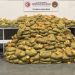 Havalimanında 568 kilogram uyuşturucu ele geçirildi