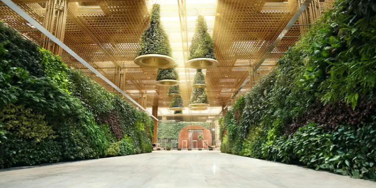 “Bahçeli teminal” UNESCO’nun “dünyanın en güzel havalimanları” listesinde