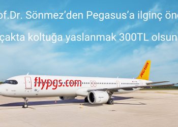 Prof. Dr.’dan Pegasus’a ilginç öneriler: ‘Koltuk arkasına yaslanmak 300 lira olsun’