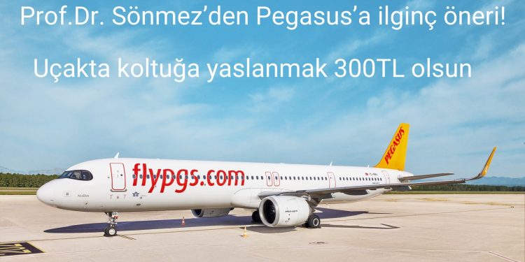 Prof. Dr.’dan Pegasus’a ilginç öneriler: ‘Koltuk arkasına yaslanmak 300 lira olsun’