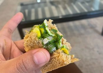 IndiGo’nun sandviçinden vida çıktı