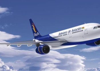 Uçak köpek sürüsüne çarptı