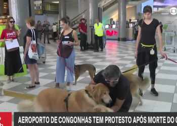 Uçuşta ölen köpek için havalimanlarında eylem düzenlendi