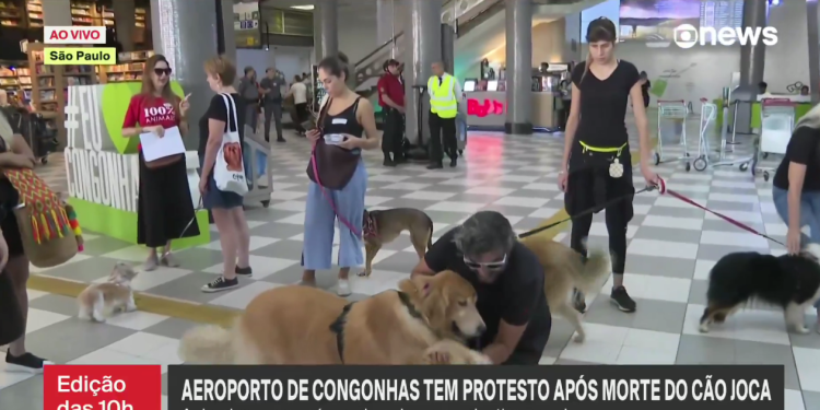 Uçuşta ölen köpek için havalimanlarında eylem düzenlendi
