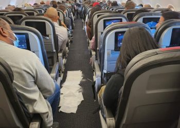 Köpek koridoru pisledi uçak acil iniş yaptı