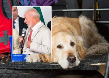 Brezilya Devlet Başkanı Lula’dan GOL Airlines’e kravatlı protesto