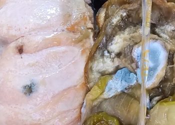 Uçakta yolcuya küflü somon verildi