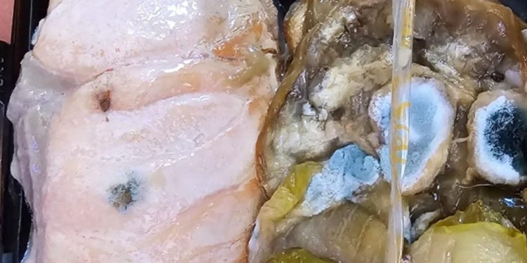 Uçakta yolcuya küflü somon verildi