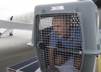 Bark Air’in CEO’su köpek kafesinde seyahat etti