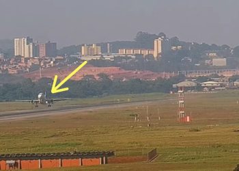 Piste giren maymunlar kalkış yapan uçağın altında eziliyordu