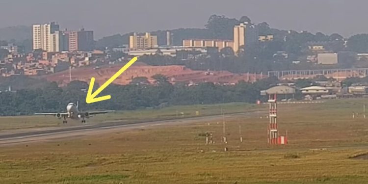 Piste giren maymunlar kalkış yapan uçağın altında eziliyordu
