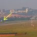 Piste giren maymunlar kalkış yapan uçağın altında eziliyordu