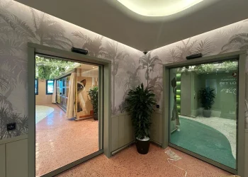 THY İstanbul Havalimanı’nda “Pet Lounge” açtı