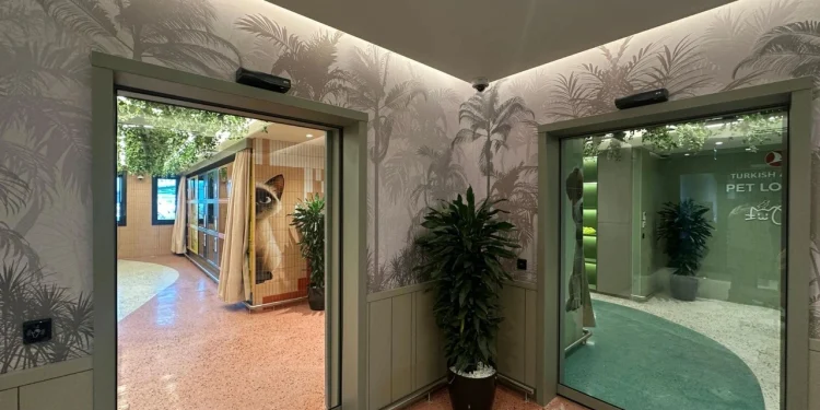 THY İstanbul Havalimanı’nda “Pet Lounge” açtı