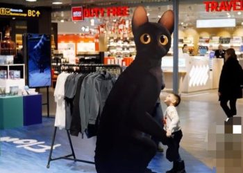 ATÜ’nün Riga Havalimanı’ndaki “Flow” standı filme Oscar şansı getirdi