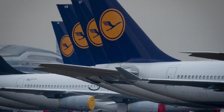 LUFTHANSA KÖPEK BALIĞI DERİSİNDEN GELİŞTİRDİĞİ TEKNOLOJİYLE UÇAKLARINDA YAKIT TASARRUFUNA SAĞLADI