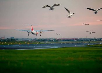 KUŞLARI UÇAKLARA ÇARPTIRAN GAZETECİLİK! Özcan YAŞAR Yazdı…