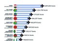 Afrika’da Havayolu Trafiği İstikrarlı Büyüyor