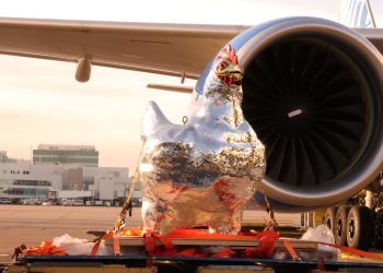 500 Bin Aynalı Tavuk Heykeli Kargo Uçağıyla Taşındı