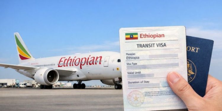 Bilet Sizden Vize Bizden