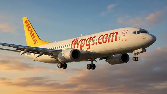 Pegasus yatırımcısını güldüren paylaşım