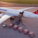 Turkish Cargo SMARTIST’in Kapasitesini 4,5 Milyon Tona Çıkarıyor